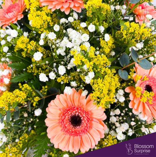 Sunny Blossom Delight Box Arrangement (Local Delivery Only)