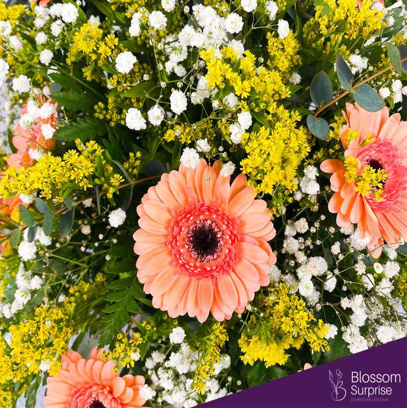 Sunny Blossom Delight Box Arrangement (Local Delivery Only)