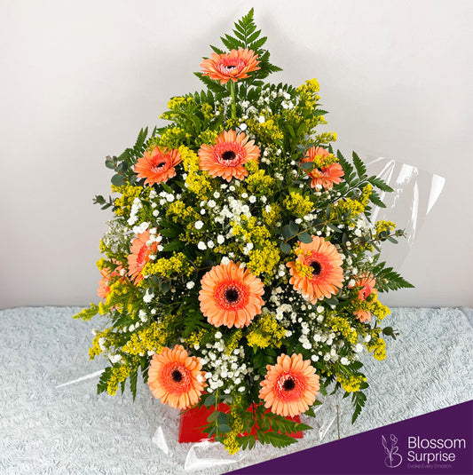 Sunny Blossom Delight Box Arrangement (Local Delivery Only)