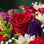 A close-up of a mixed flower bouquet featuring a prominent deep red rose with water droplets, surrounded by purple, white, and red flowers with green foliage against a dark green background.