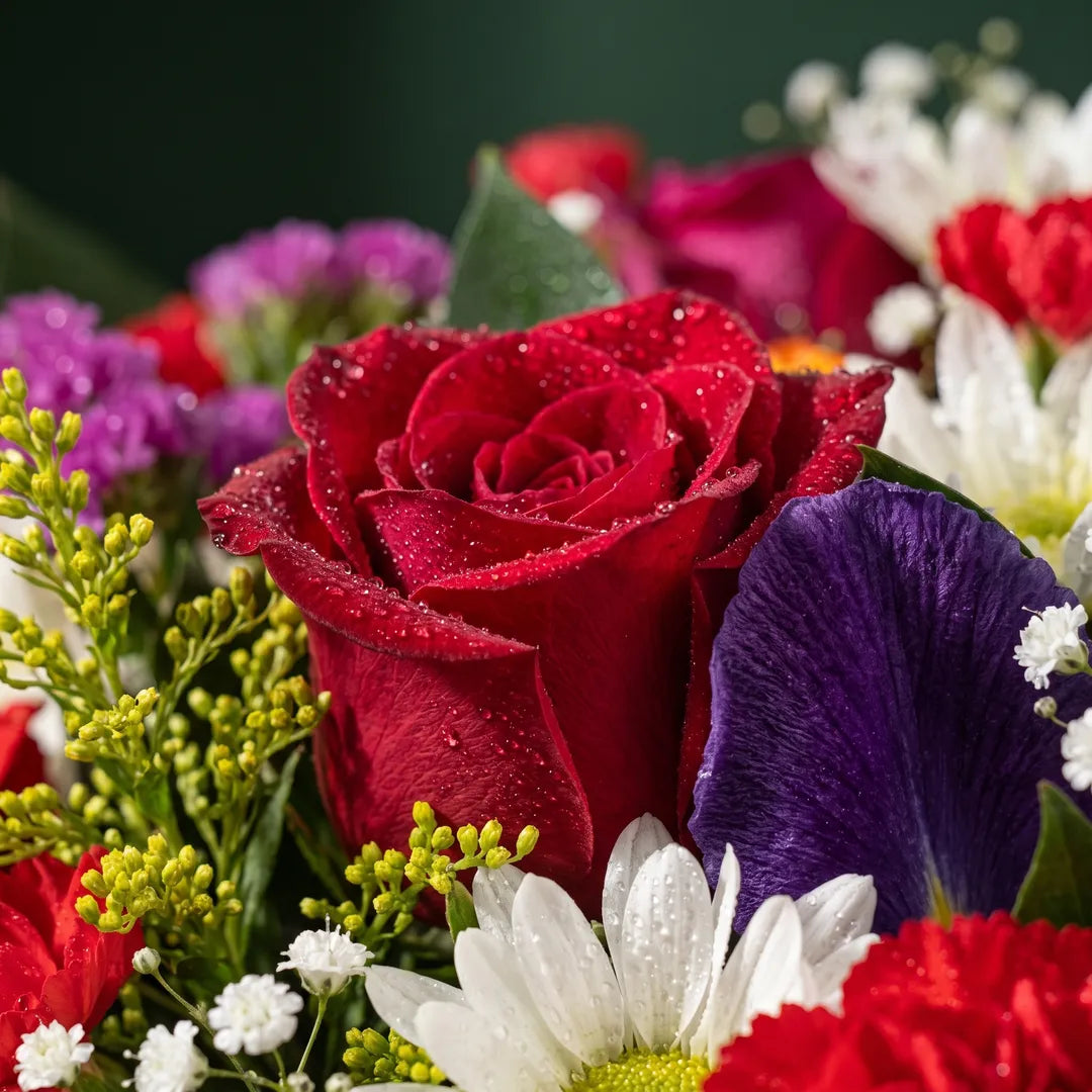A close-up of a mixed flower bouquet featuring a prominent deep red rose with water droplets, surrounded by purple, white, and red flowers with green foliage against a dark green background.
