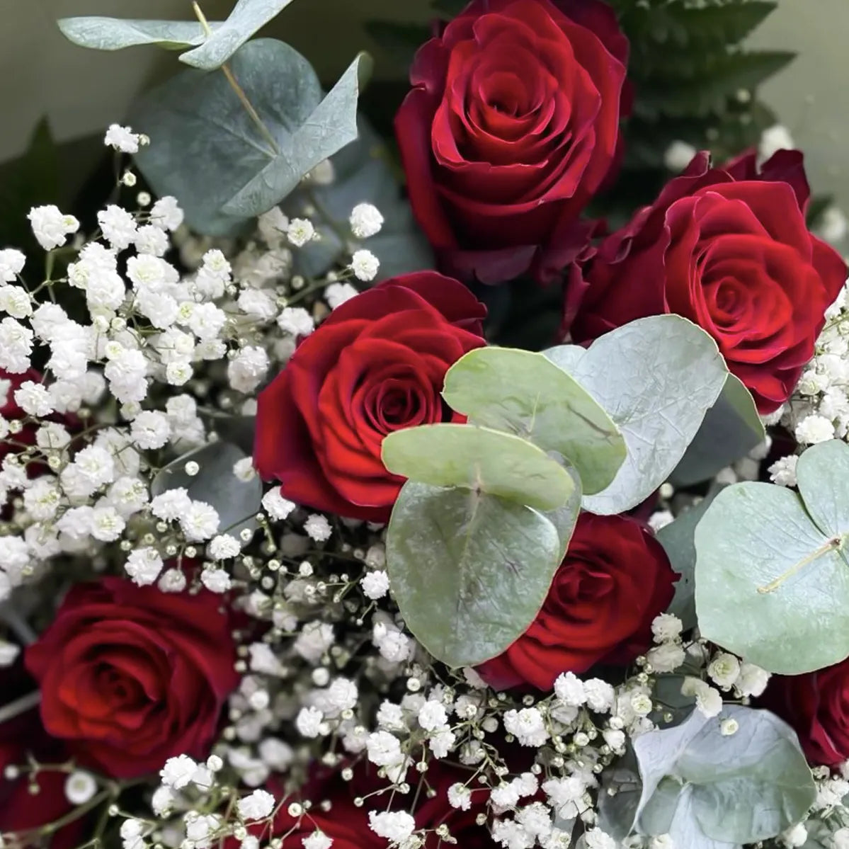 Royal Crimson - 12 Red Roses