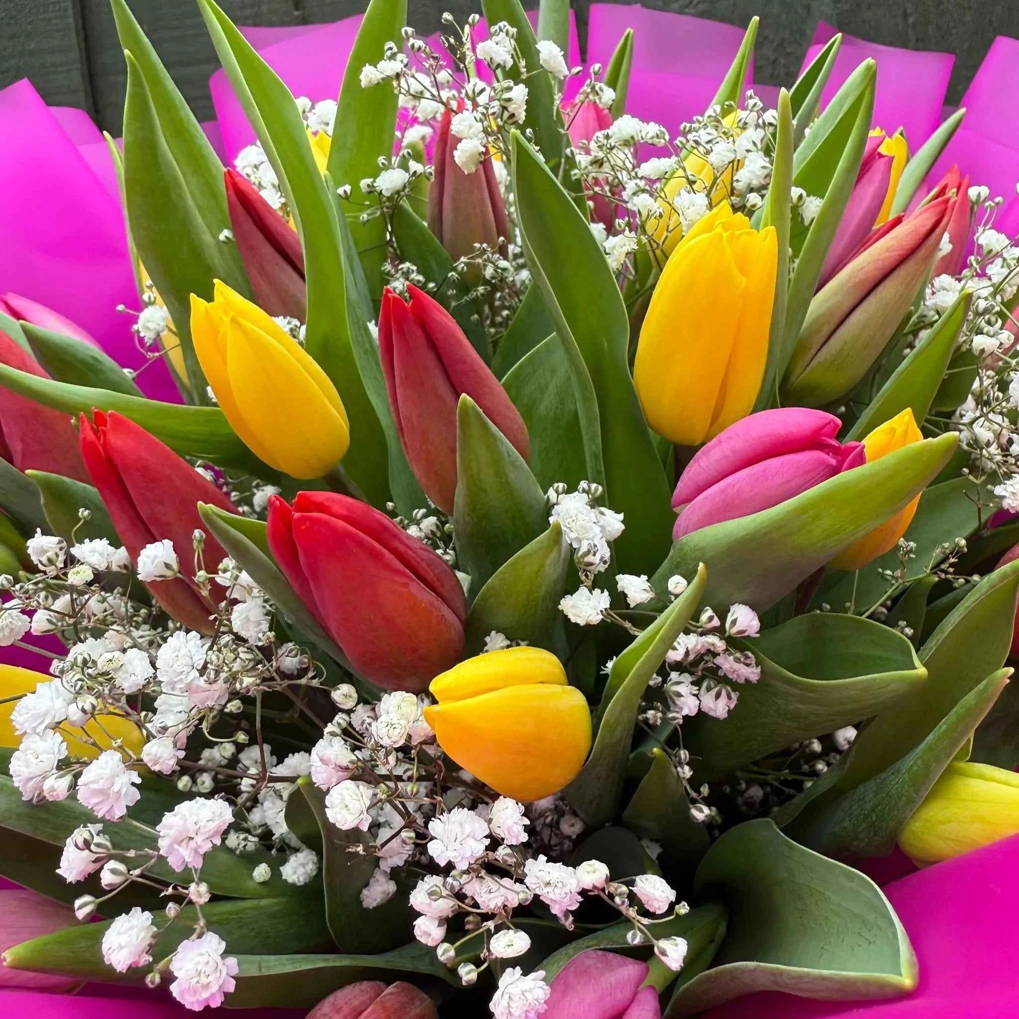 Mixed Tulip Bouquet Secondary image