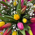 Mixed Tulip Bouquet