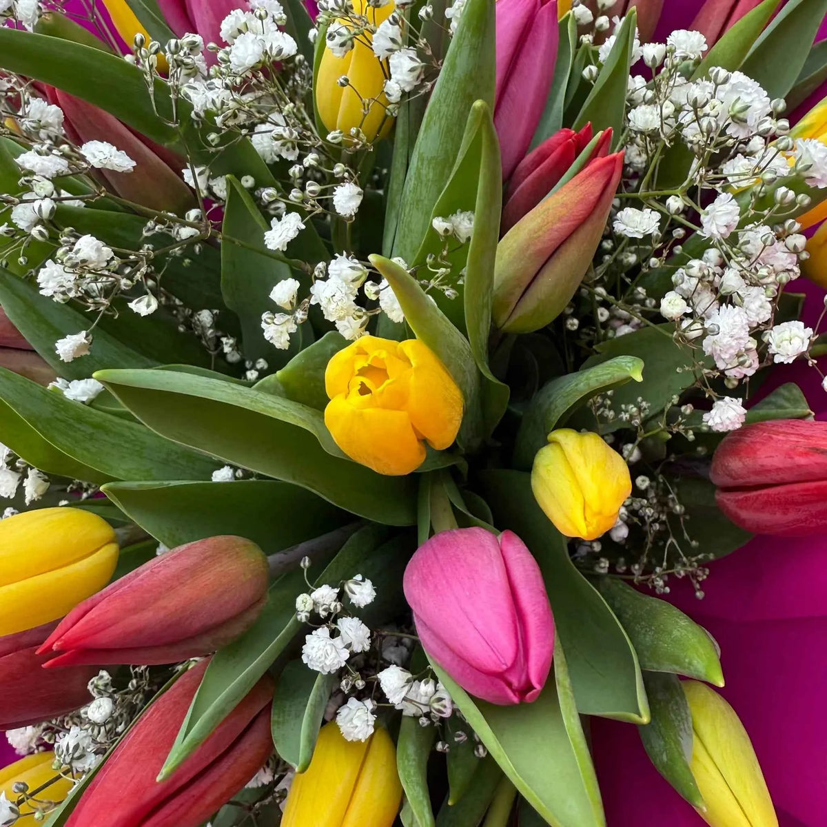 Mixed Tulip Bouquet