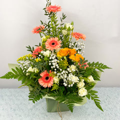 Peachy Bloom Delight