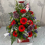 Red Jerbera Christmas Display