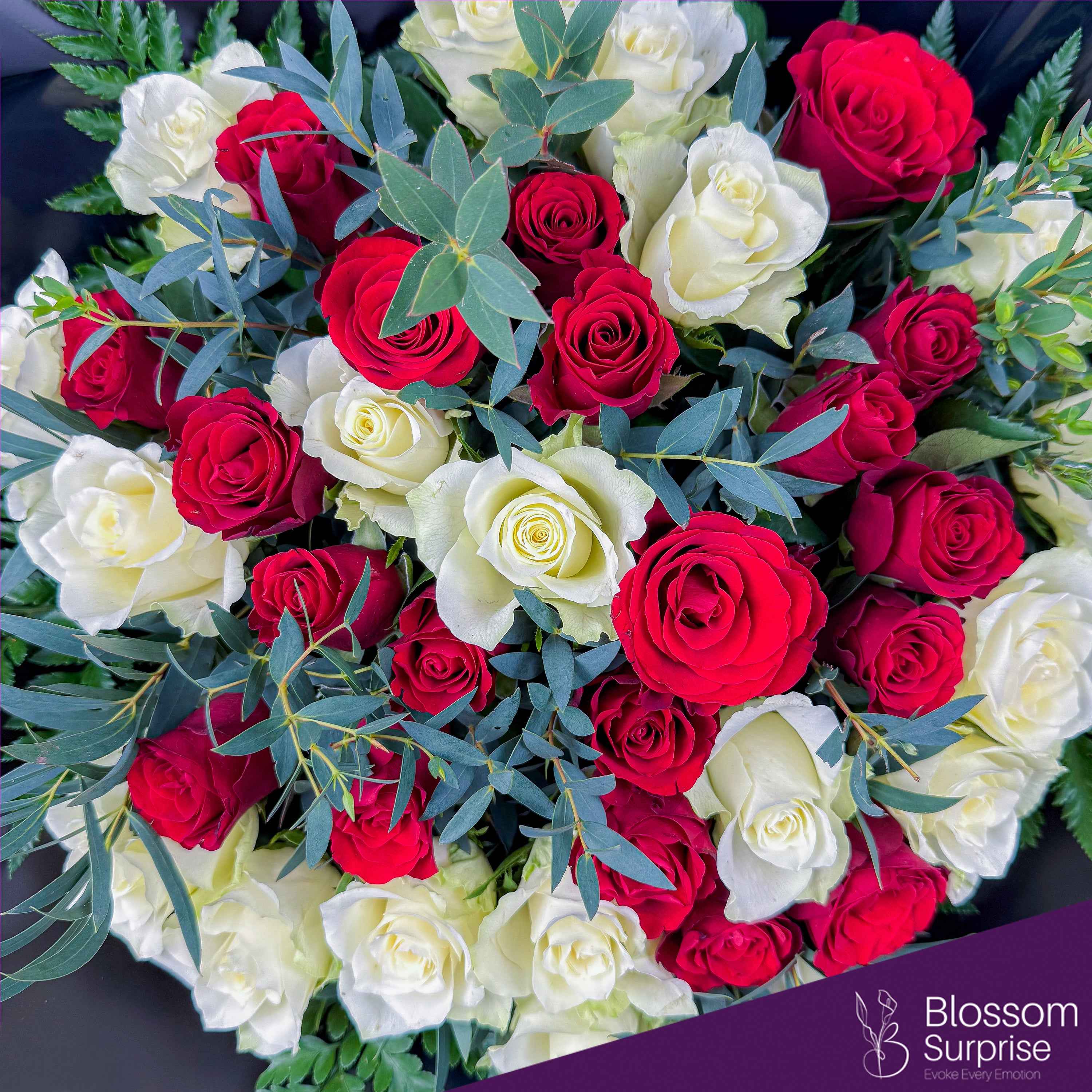 Eternal Elegance Secondary image