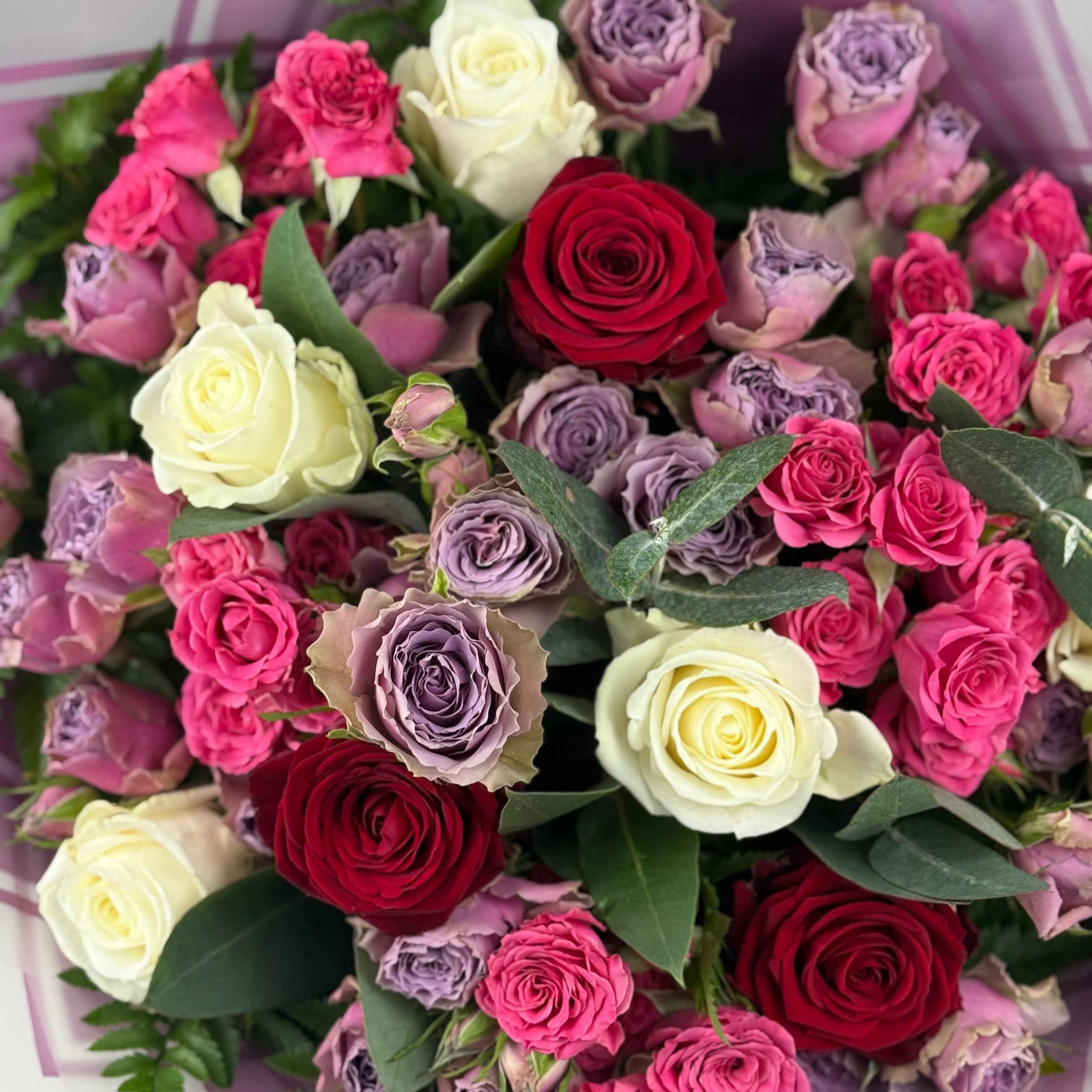 Elegant Rose Harmoney