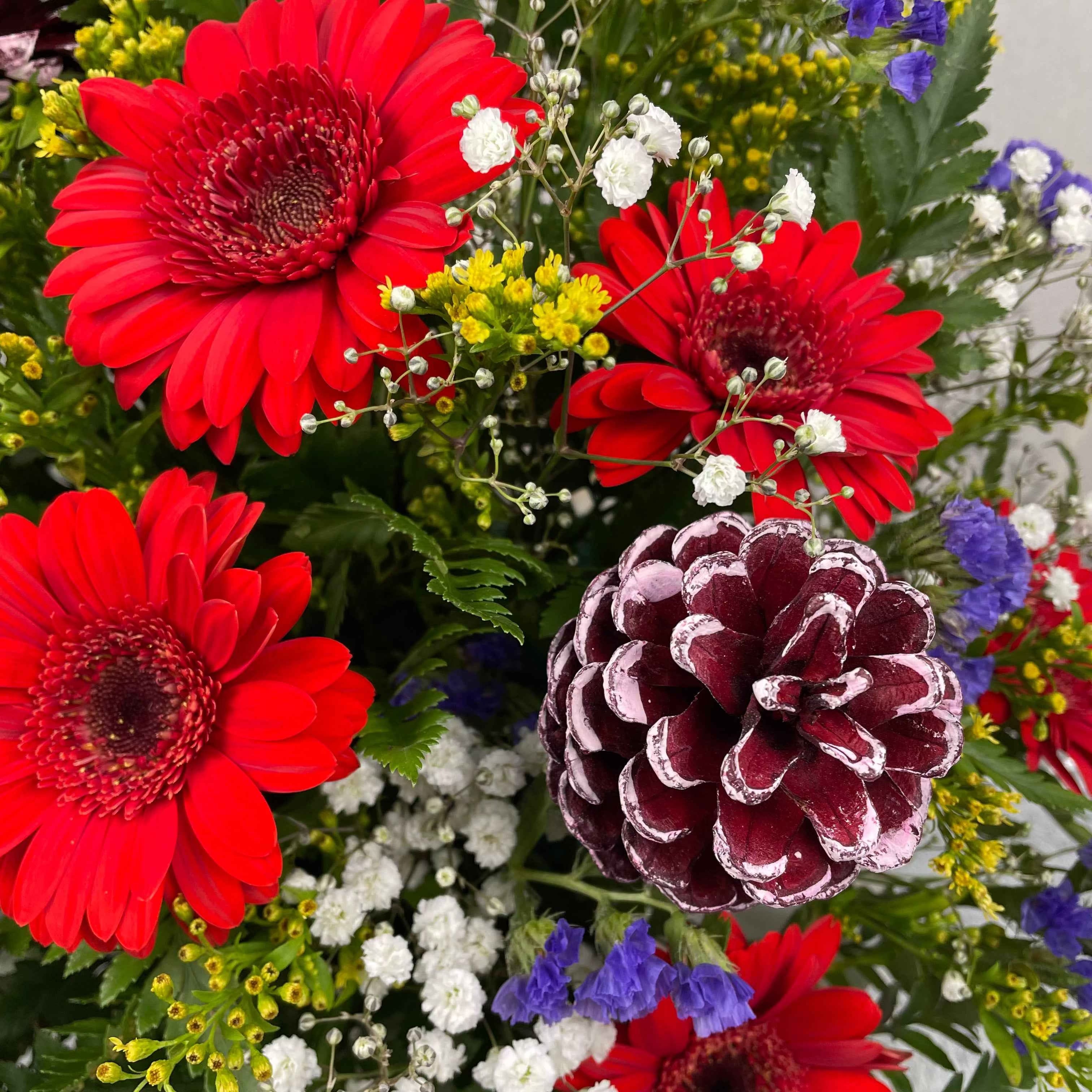 Red Jerbera Christmas Display