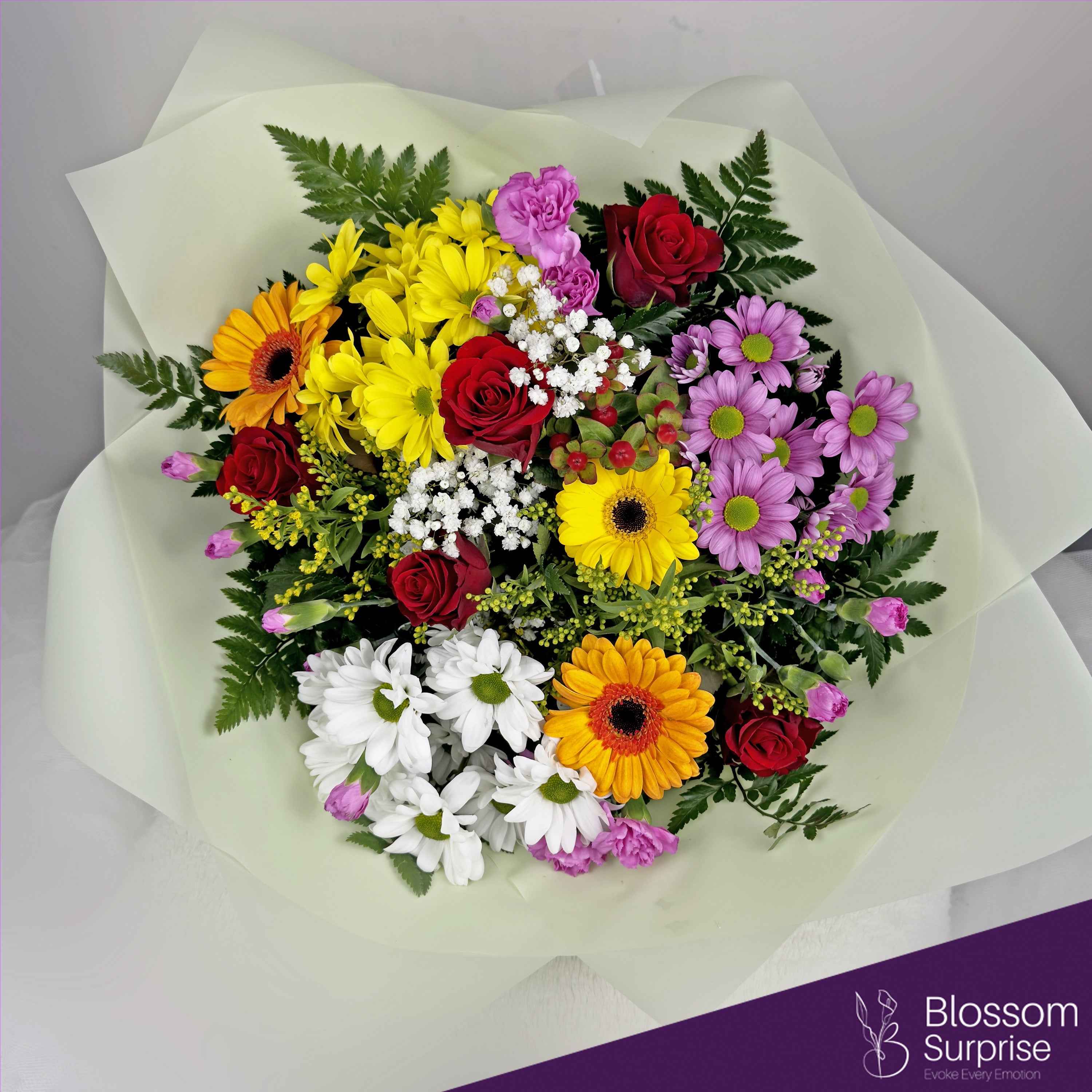 Radiant Harmony Main image