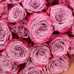 Violet Velvet