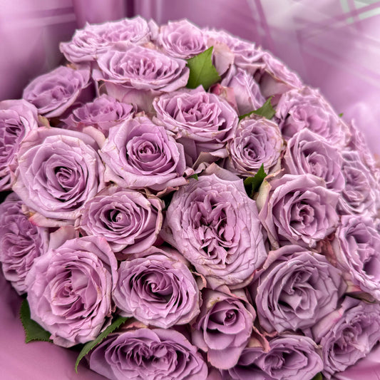 Purely Lilac