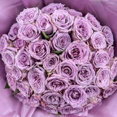 Purely Lilac
