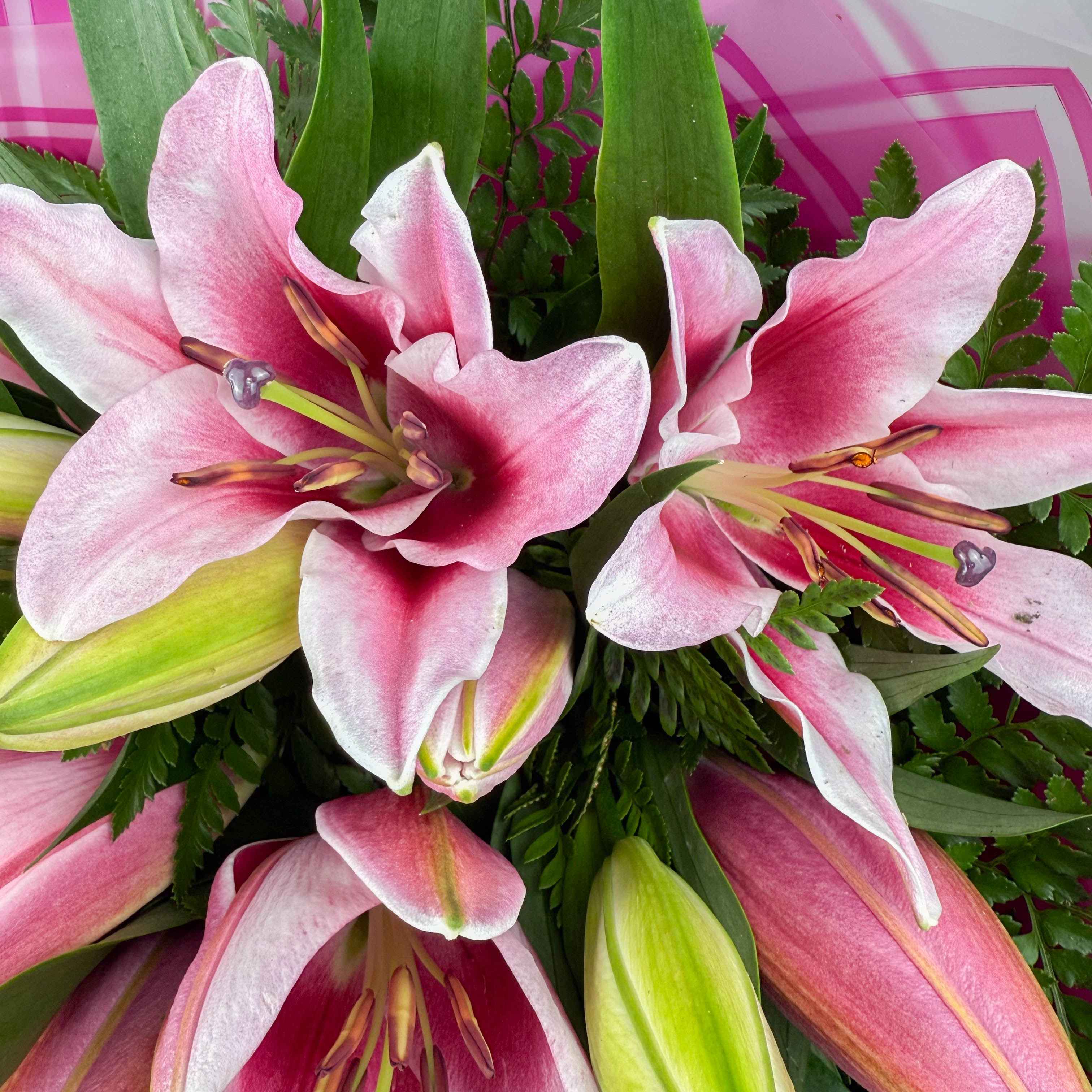 Pink Oriental Lily Bouquet