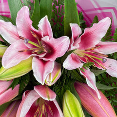 Pink Oriental Lily Bouquet