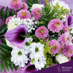 Lavender Bliss(Pre-order now, deliver in 2 days)