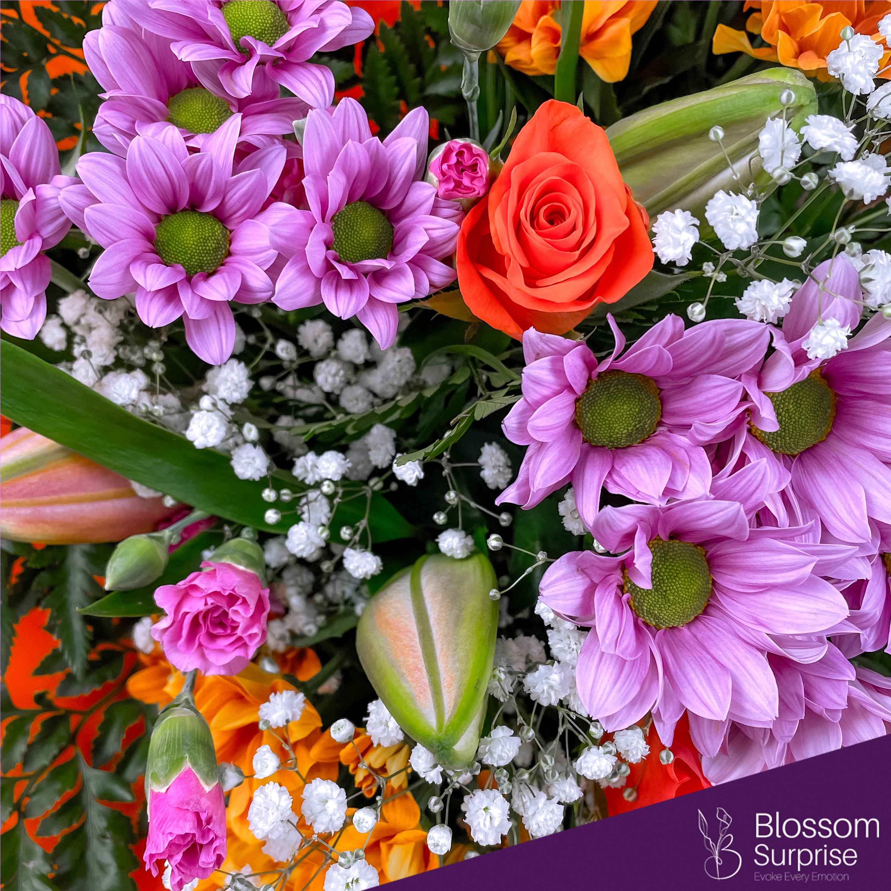 Orange Blossom Bliss