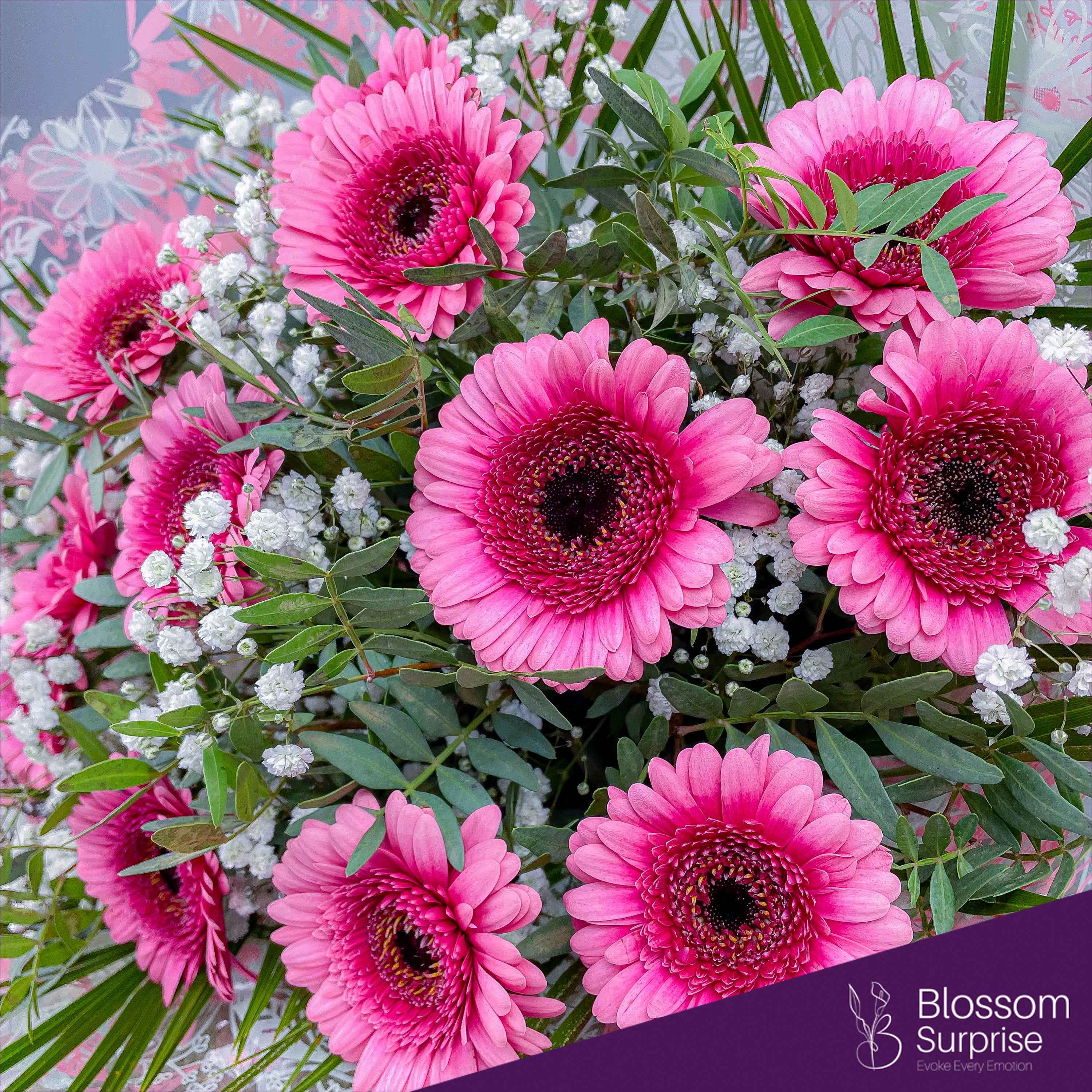 Pink Gerbera (Pre-order now, deliver in 2 days)