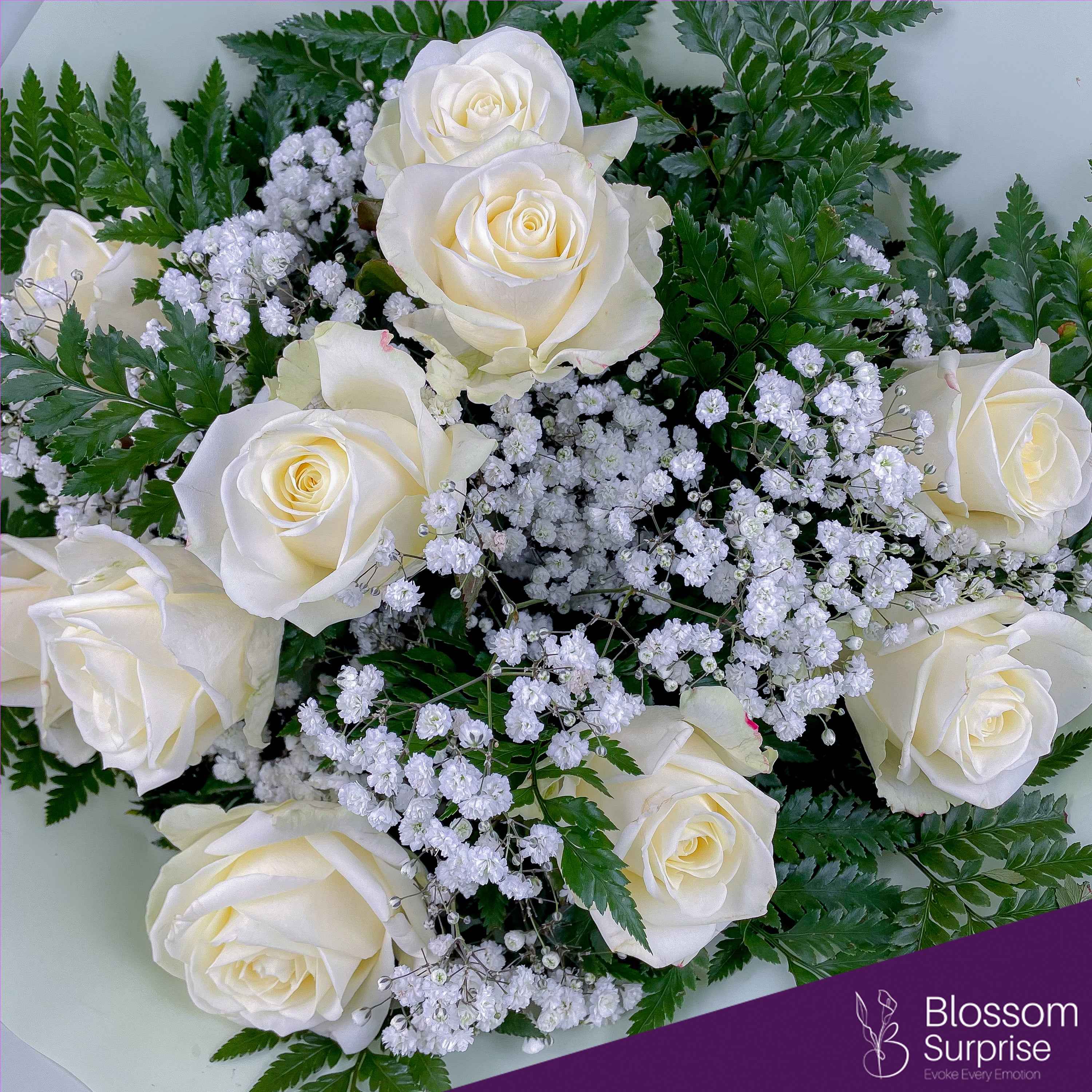 Pure Serenity Secondary image