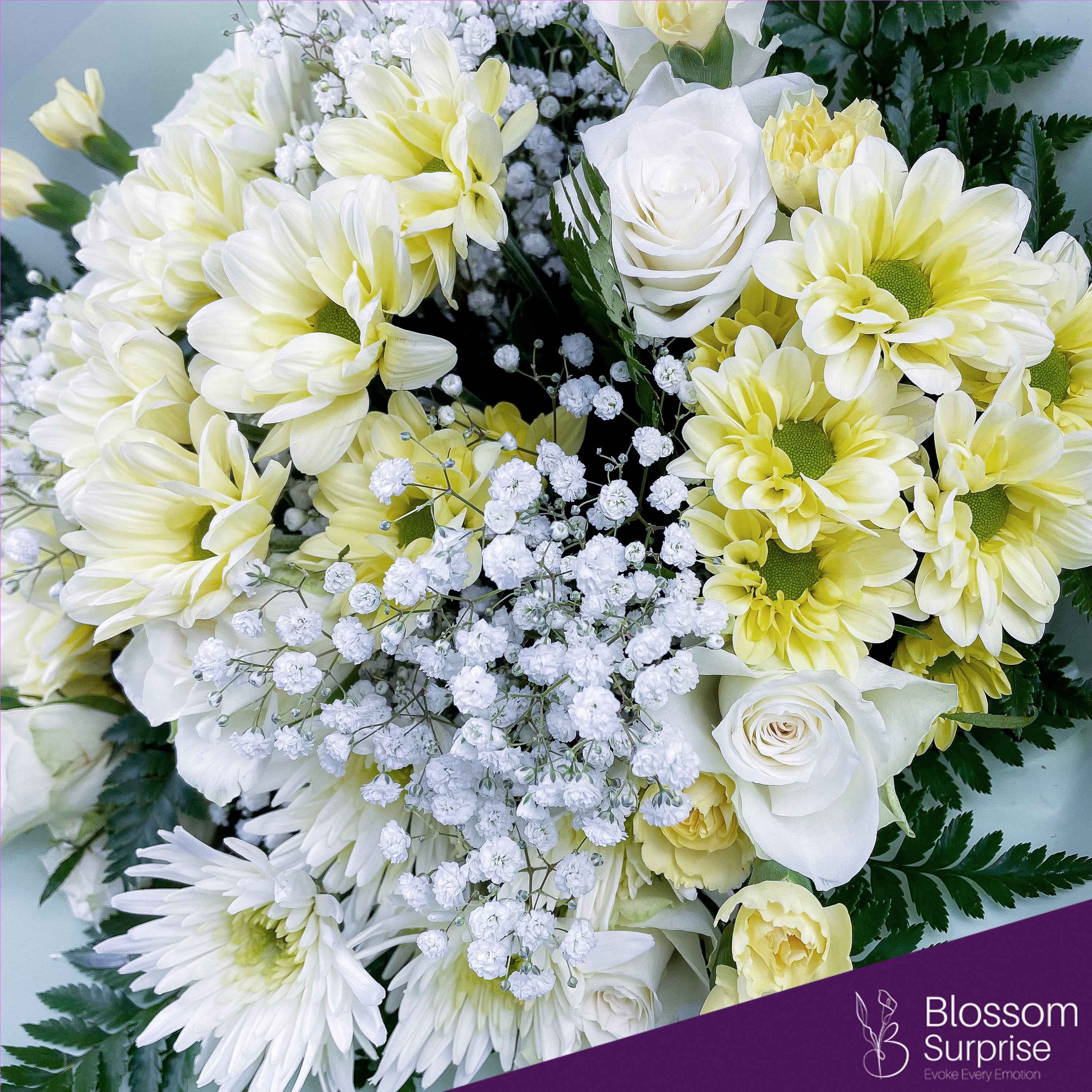 White & Cream Secondary image