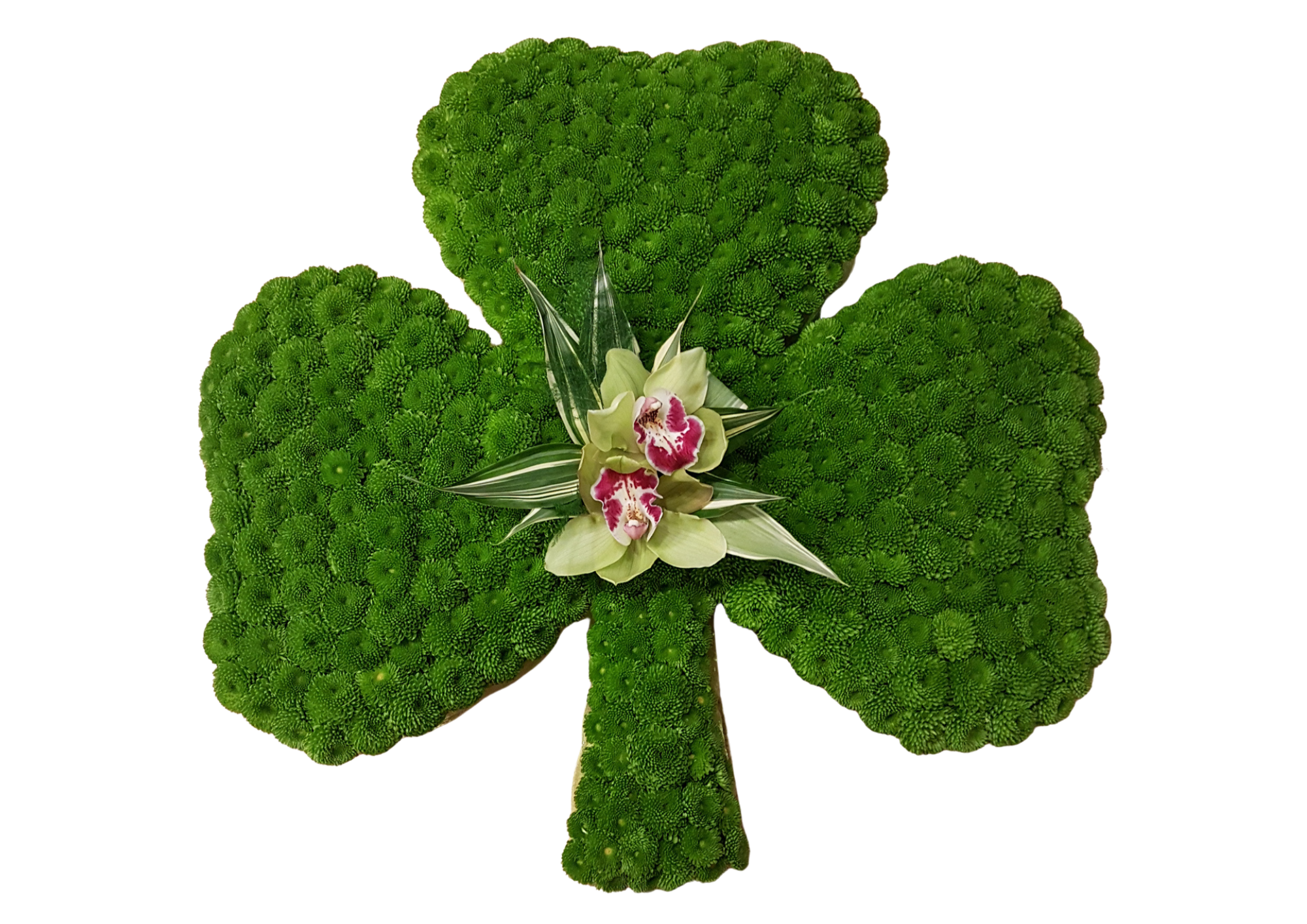 Special Design Tribute - Blossom Surprise