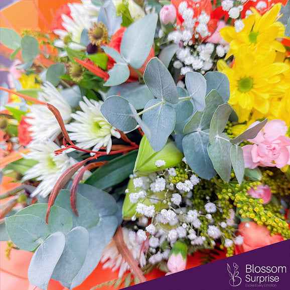 Sunset Bloom Radiance